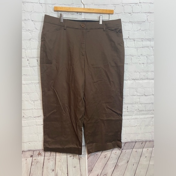 Kim Rogers Womens Plus Size 16 High Rise Brown Capri Pants - Picture 1 of 4